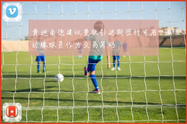 费迪南德建议曼联引进斯密特可用边缘球员作为交易筹码