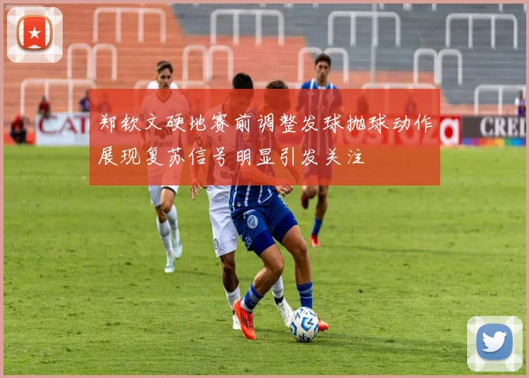 郑钦文硬地赛前调整发球抛球动作展现复苏信号明显引发关注
