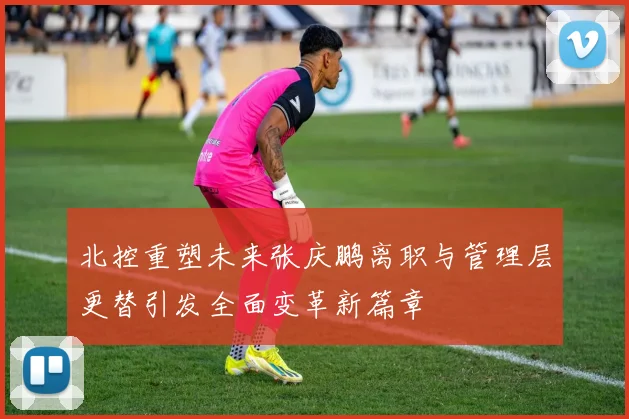 北控重塑未来张庆鹏离职与管理层更替引发全面变革新篇章