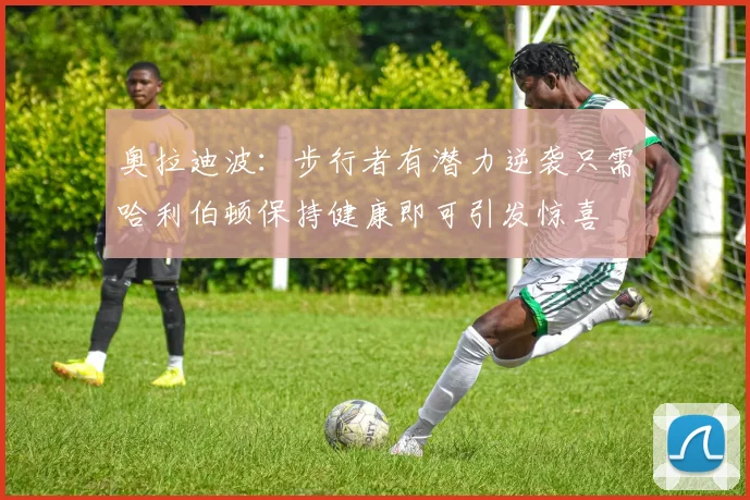 奥拉迪波：步行者有潜力逆袭只需哈利伯顿保持健康即可引发惊喜